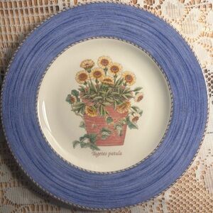 🌼Wedgwood Sarah’s Garden Salad Plate - Tagetes Patula (Blue) - England 1997
